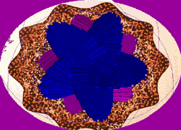 attachment_5589