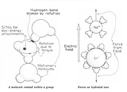 image-1677298641773.png