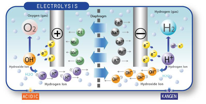 ELECTROLISIS-WATER-IONIZER-AQUALIFE.jpg