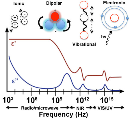 Figure 1.jpg