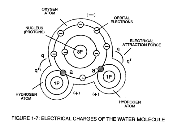 image-1703011752626.png