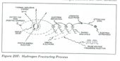 Figure 20F