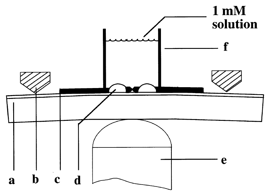 Figure 1. A schematic of the MCB junction with (a) the bending beam, (b) the counter supports, (c) the notched gold wire, (d) the glue contacts, (e) the piezoelement, and (f) the glass tube containing the solution.
