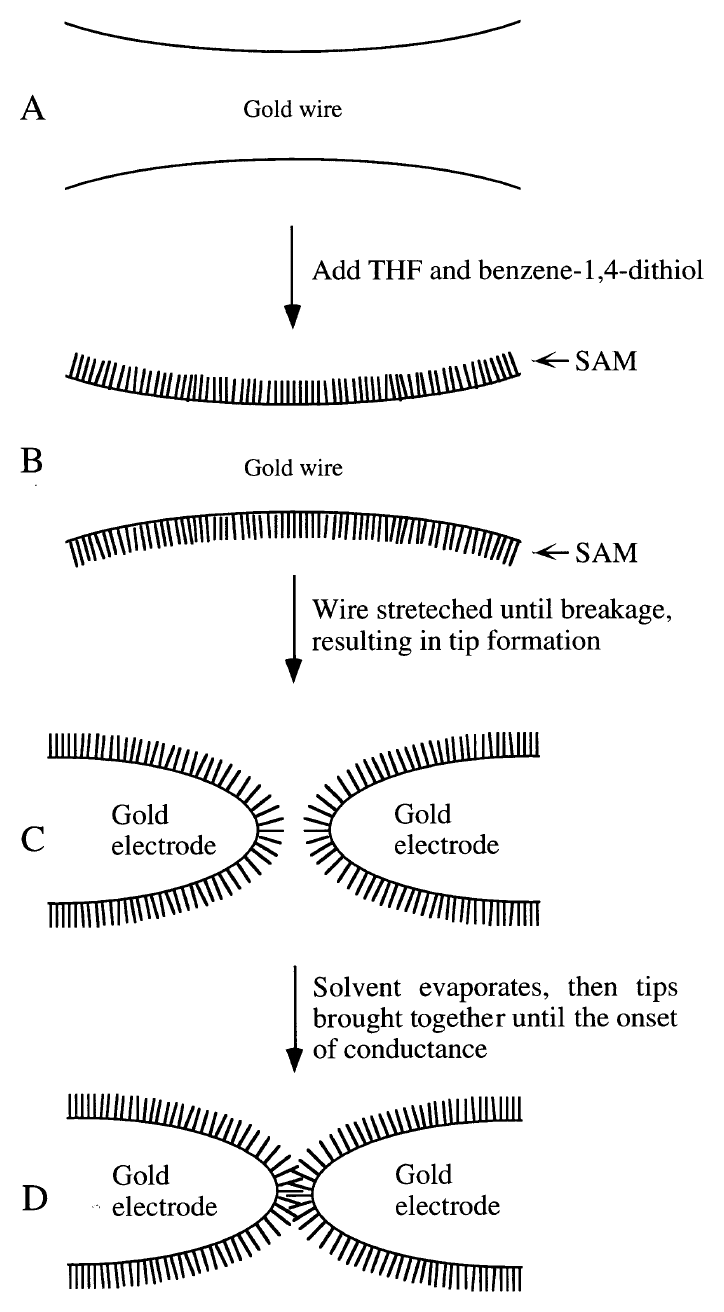 Figure 2. Schematic of the measurement process. (A) The gold wire of the break junction, prior to breaking and tip formation; (B) after adding benzene-1,4-dithiol, a SAM forms on the gold wire surface; (C) after mechanically breaking the wire in solution, which produces two opposing gold contacts that are SAM-covered; (D) after the solvent is evaporated, the gold contacts are slowly moved together until the onset of conductance is achieved. Steps C to D (without solution) can be repeated numerous times to test for reprodicibility.