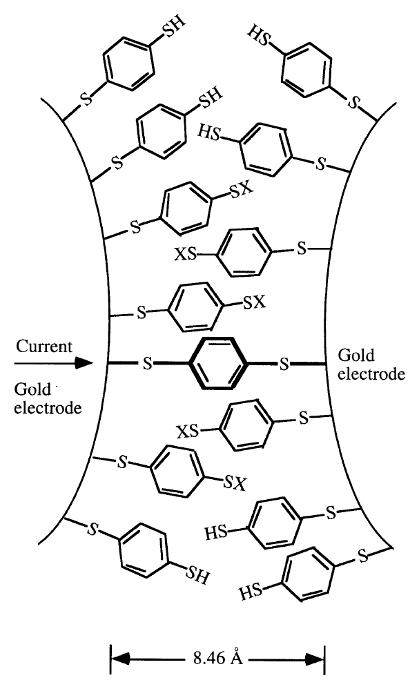 Figure 3. A schematic of a benzene-1,4-dithiolate SAM between proximal gold electrodes formed in a MCB. The thiolate is normally H-terminated after deposition; end-groups denoted as X can be either H or Au, the Au potentially arising from a previous contact/retraction event. These molecules remain nearly perpendicular to the Au surface, making other molecule orientations unlikely.21