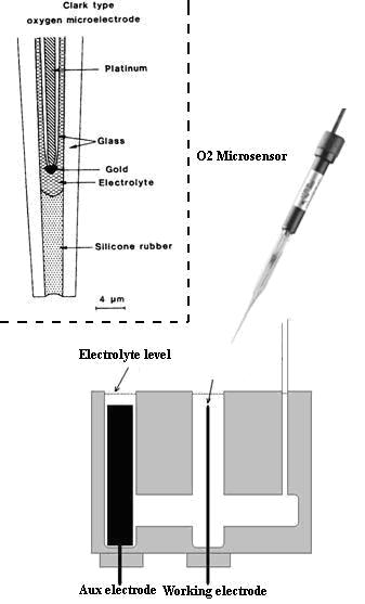 Figure 4. Water electrolysis cell to measure the concentration of dissolved oxygen.