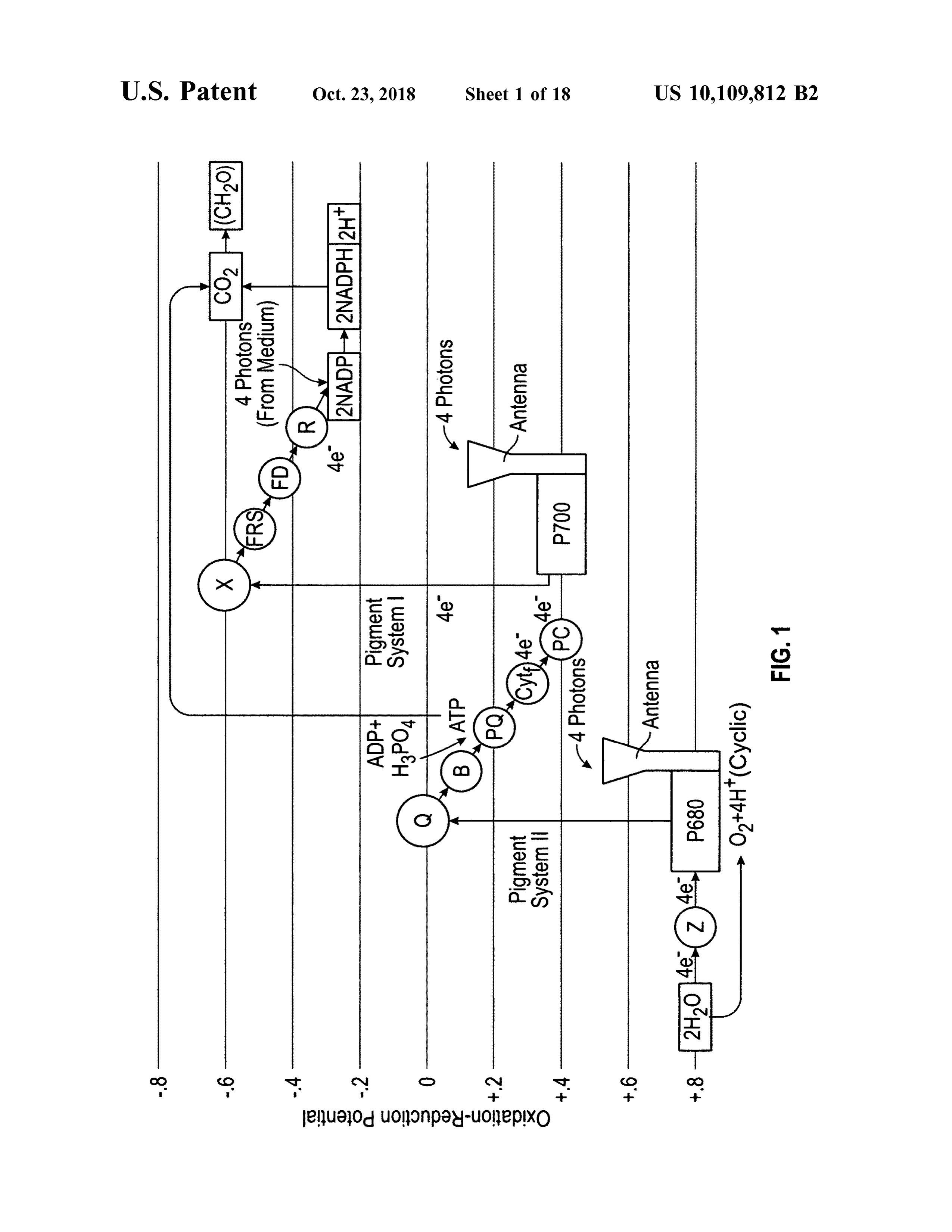 Page 3 of the original patent document