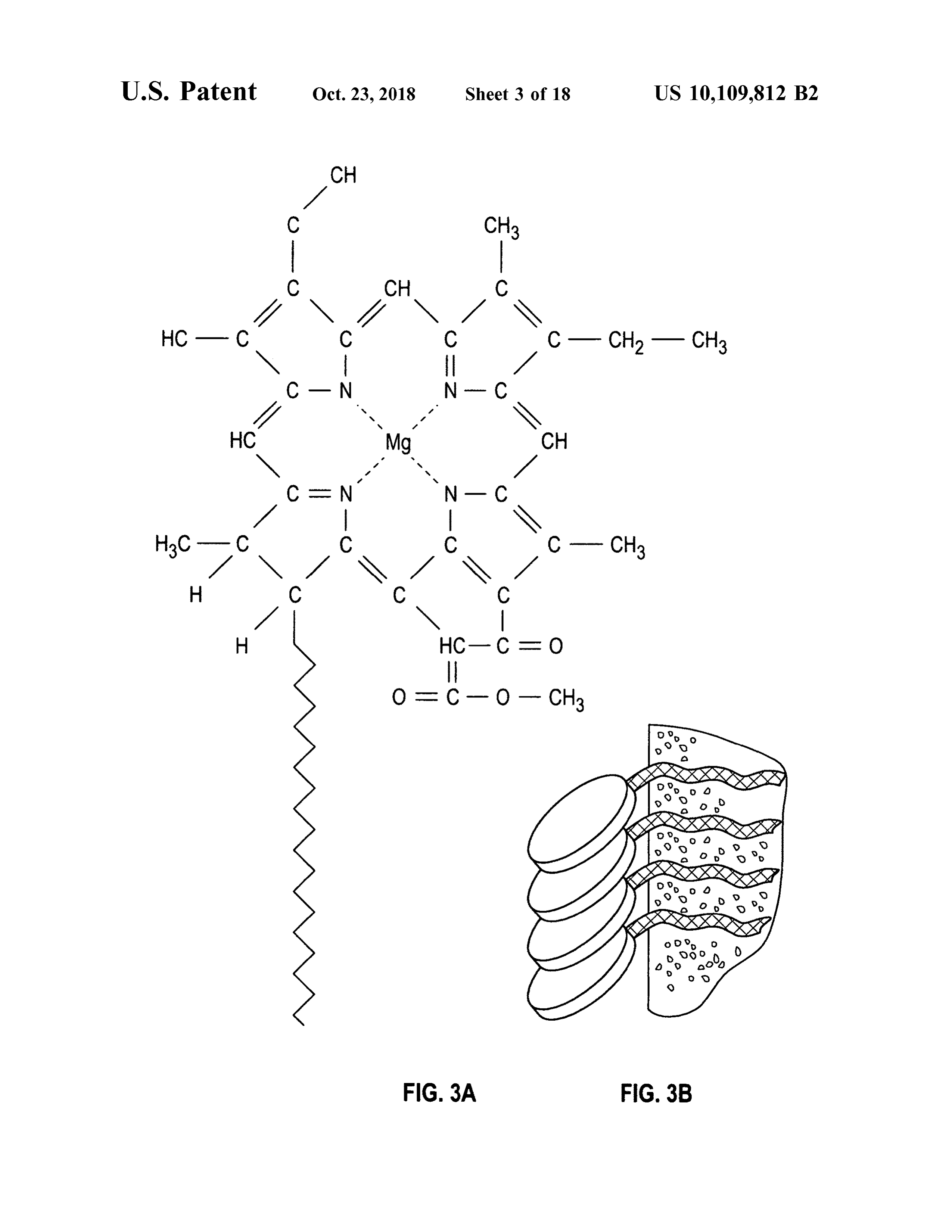 Page 5 of the original patent document