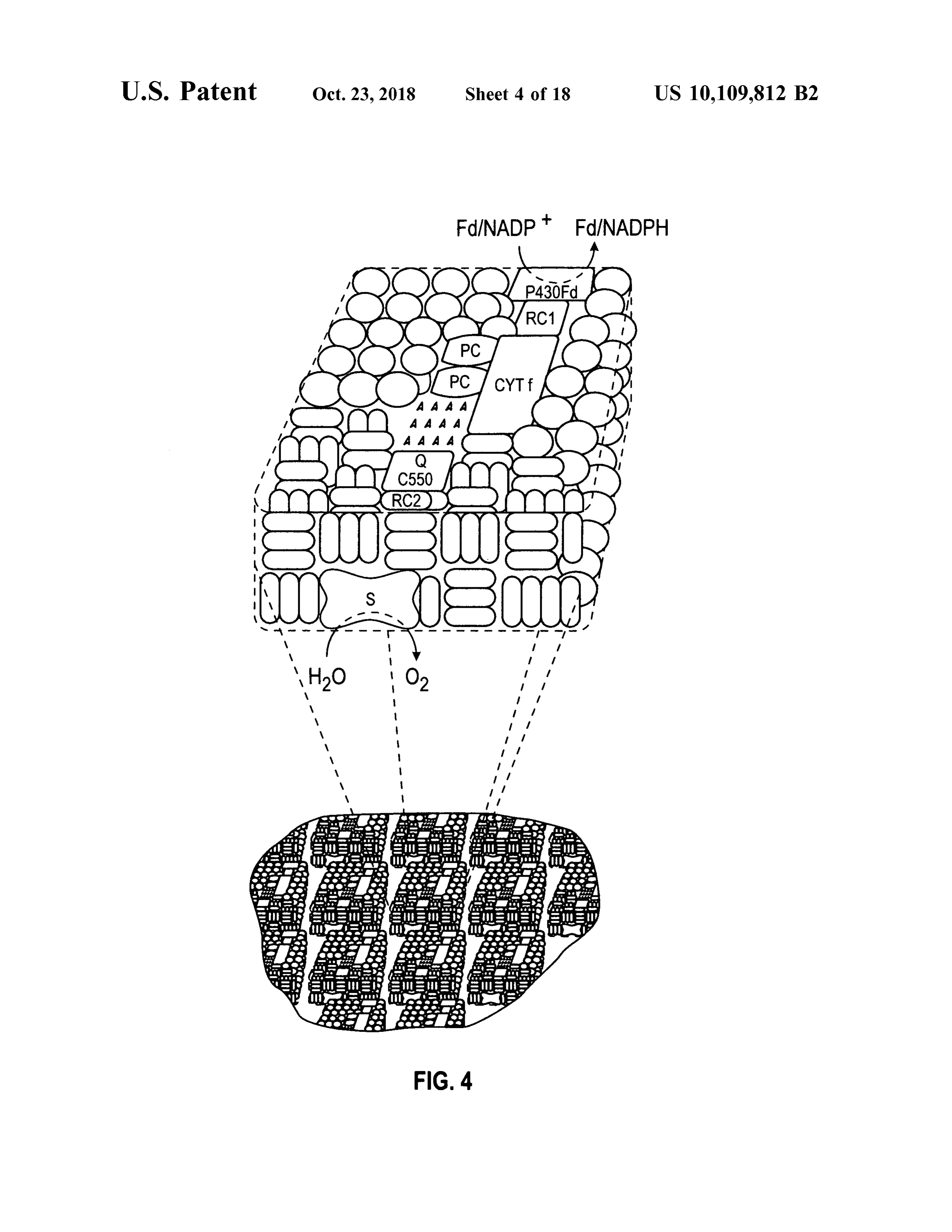 Page 6 of the original patent document