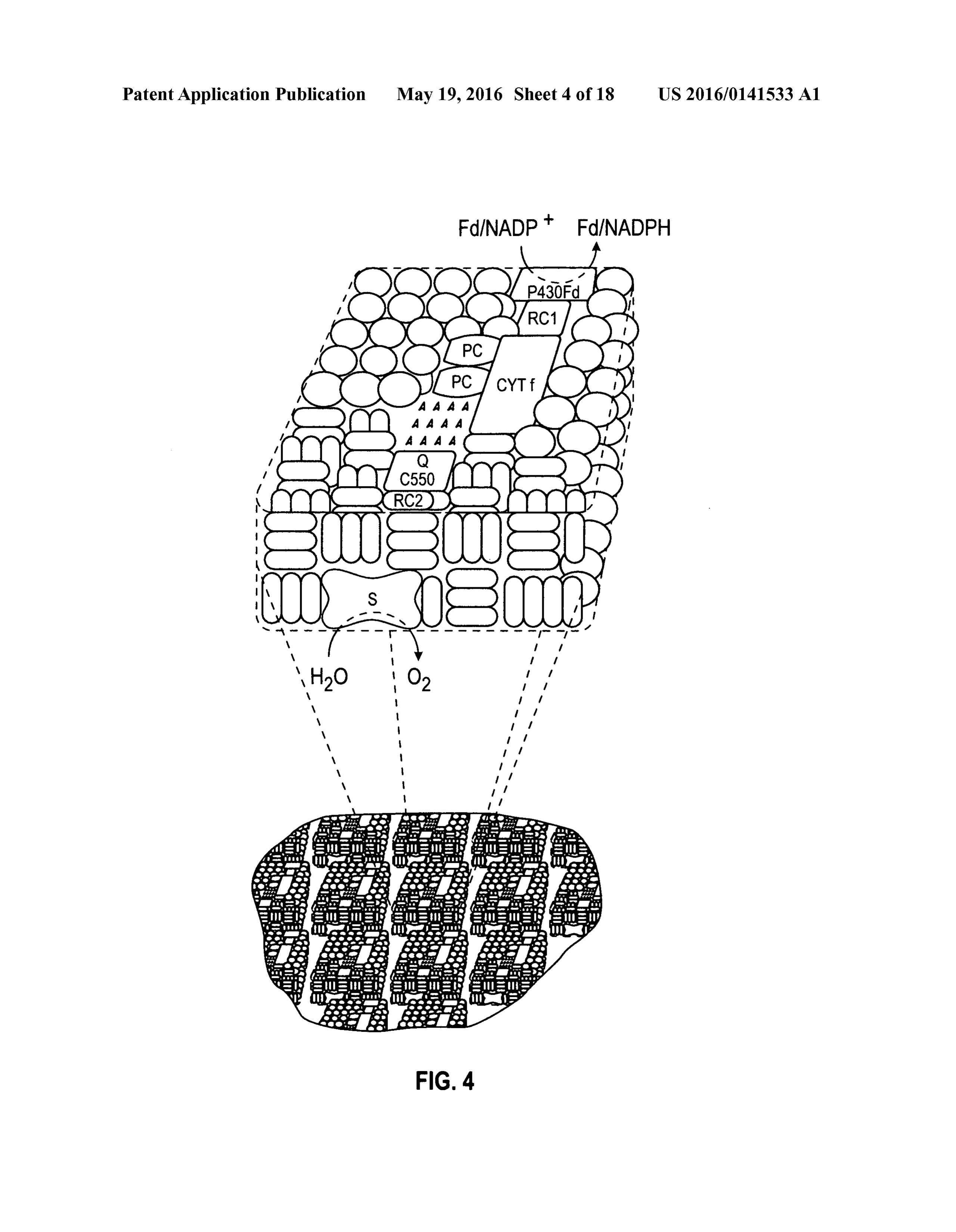 Page 5 of the original patent document