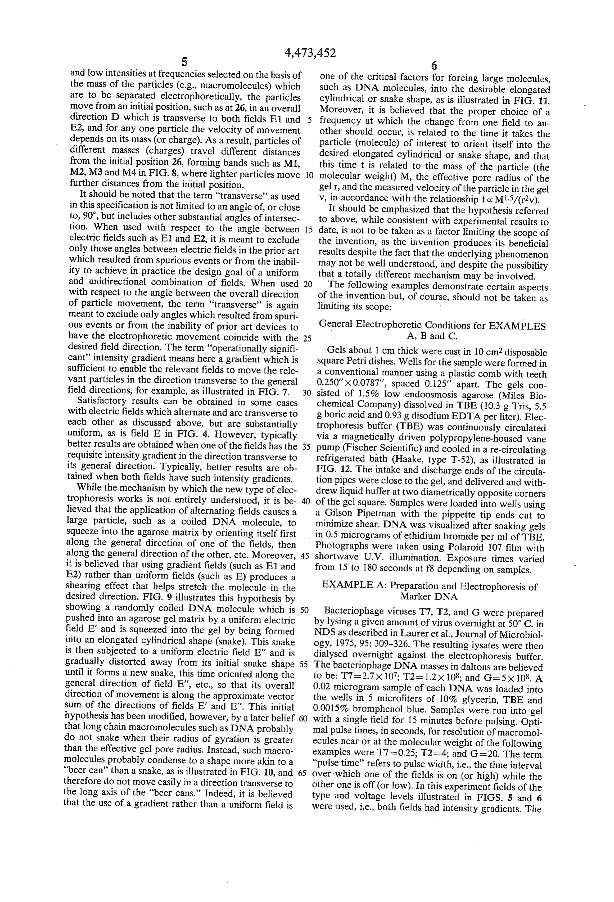 Page 8 of the original patent document