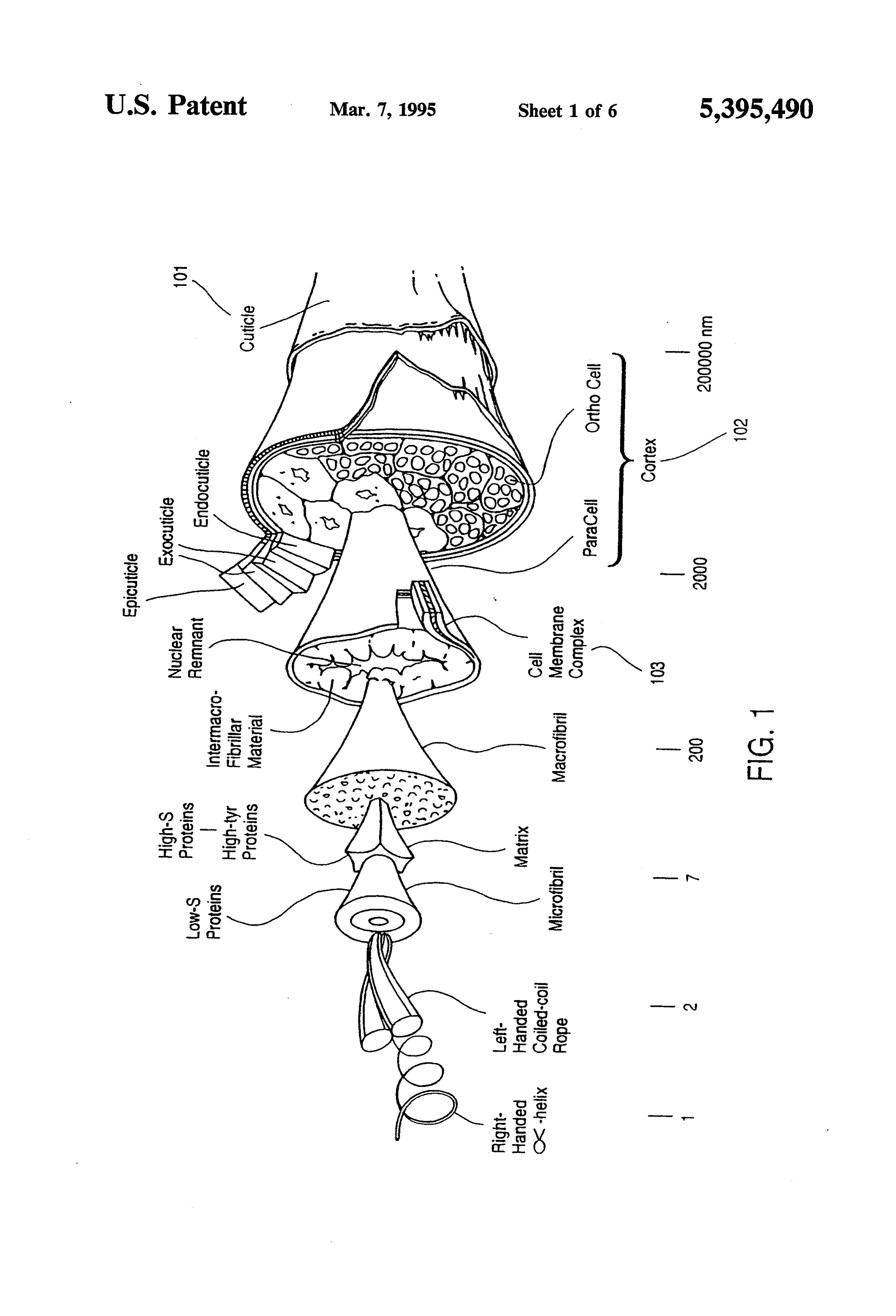 Page 2 of the original patent document