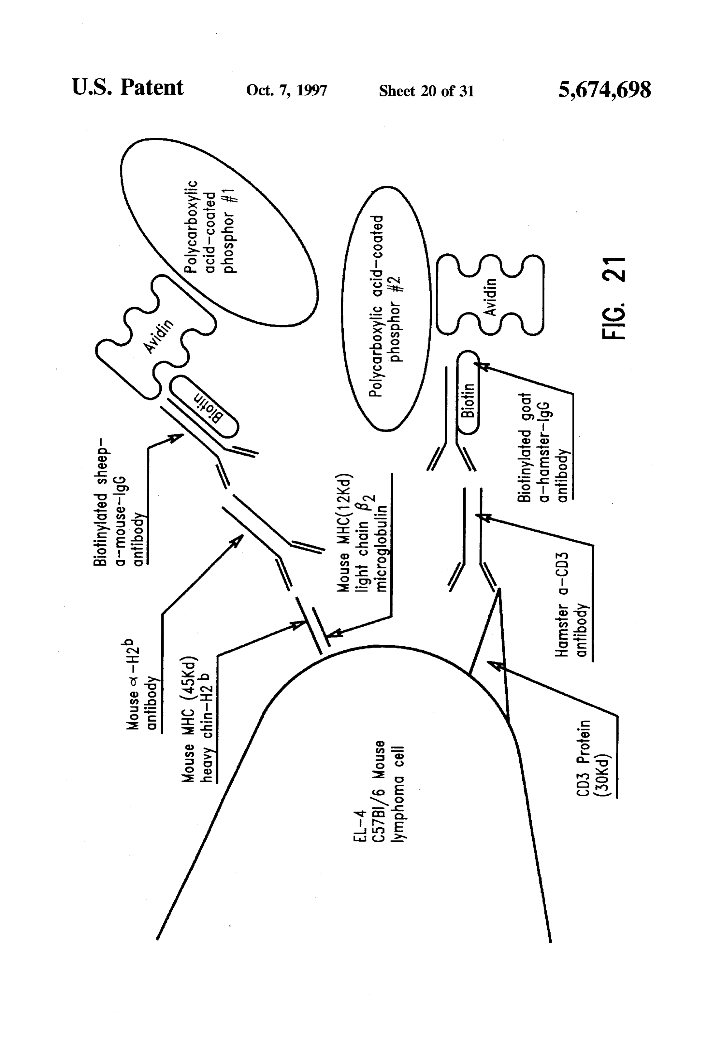 Page 22 of the original patent document
