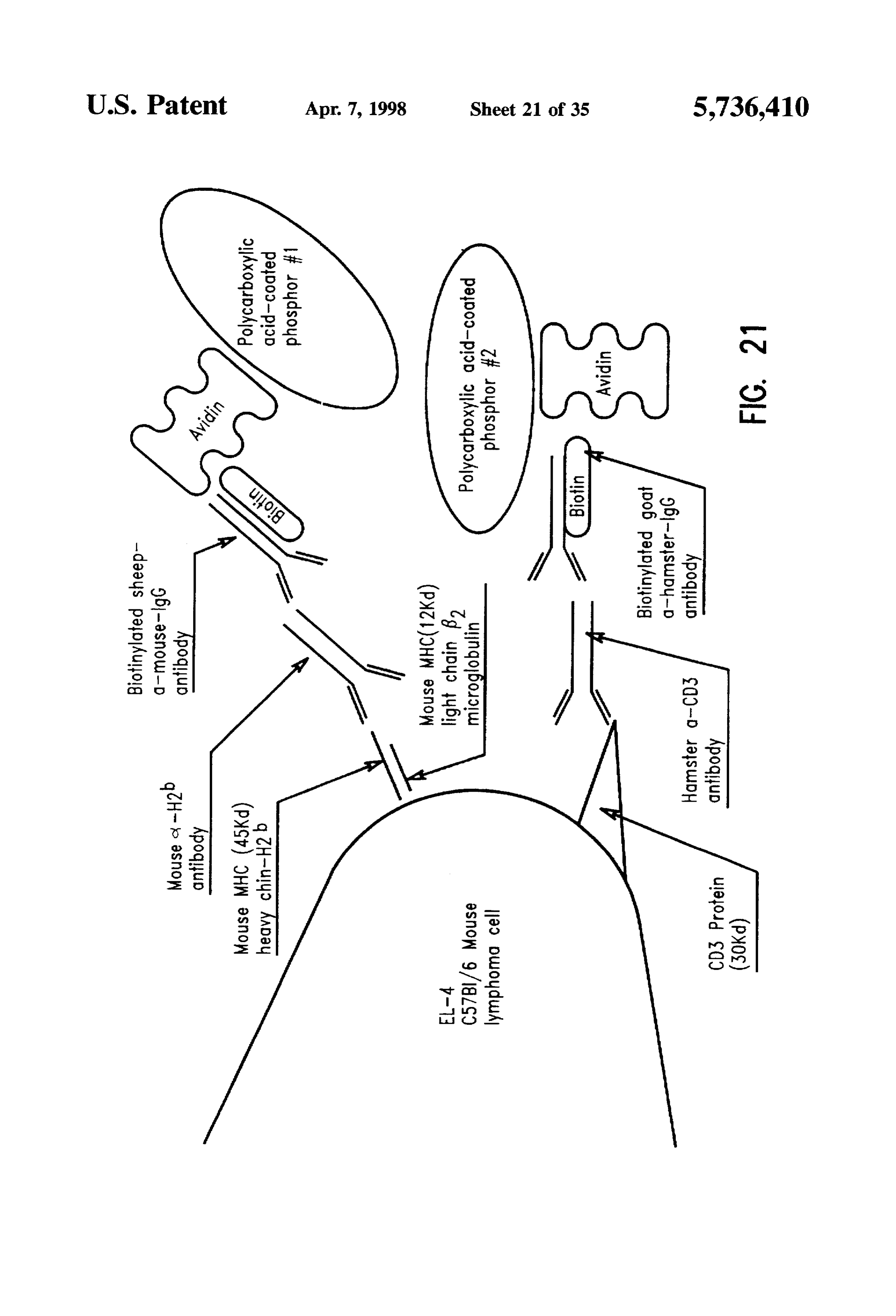 Page 23 of the original patent document