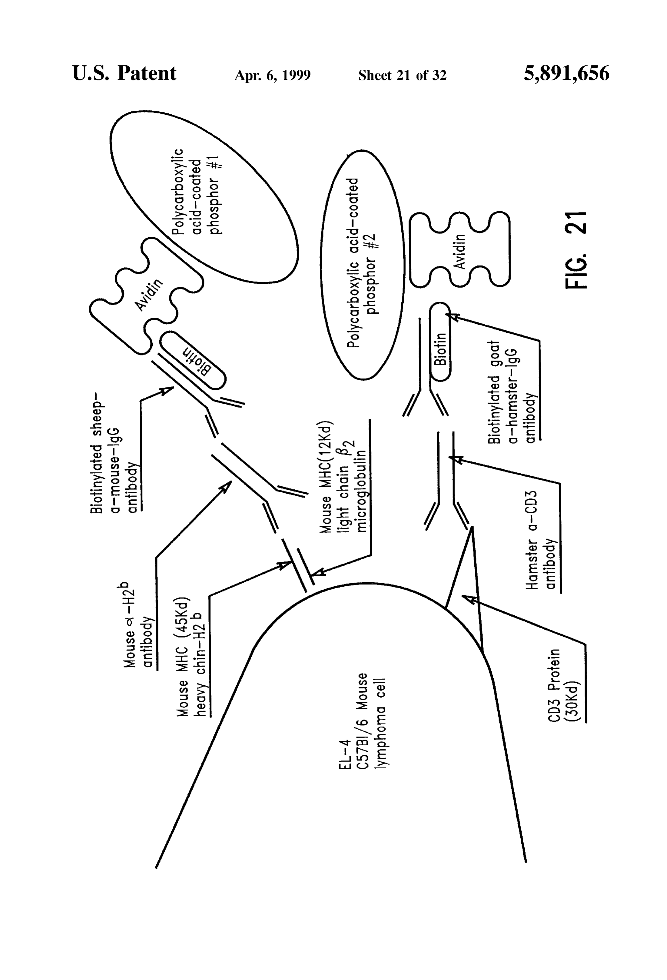 Page 23 of the original patent document