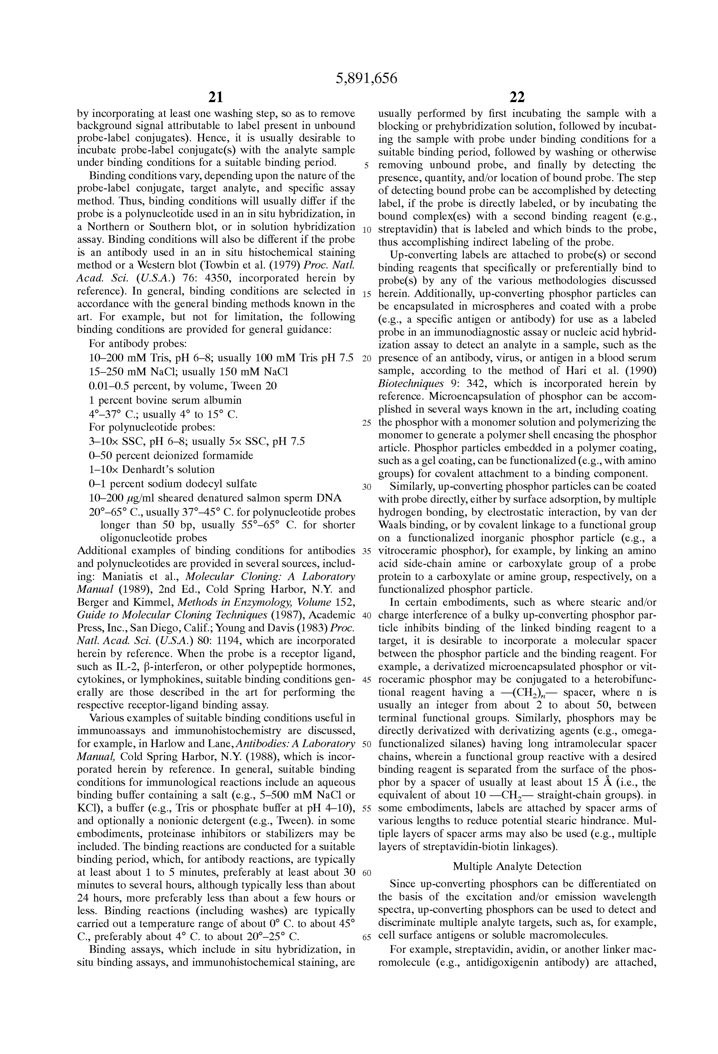Page 45 of the original patent document