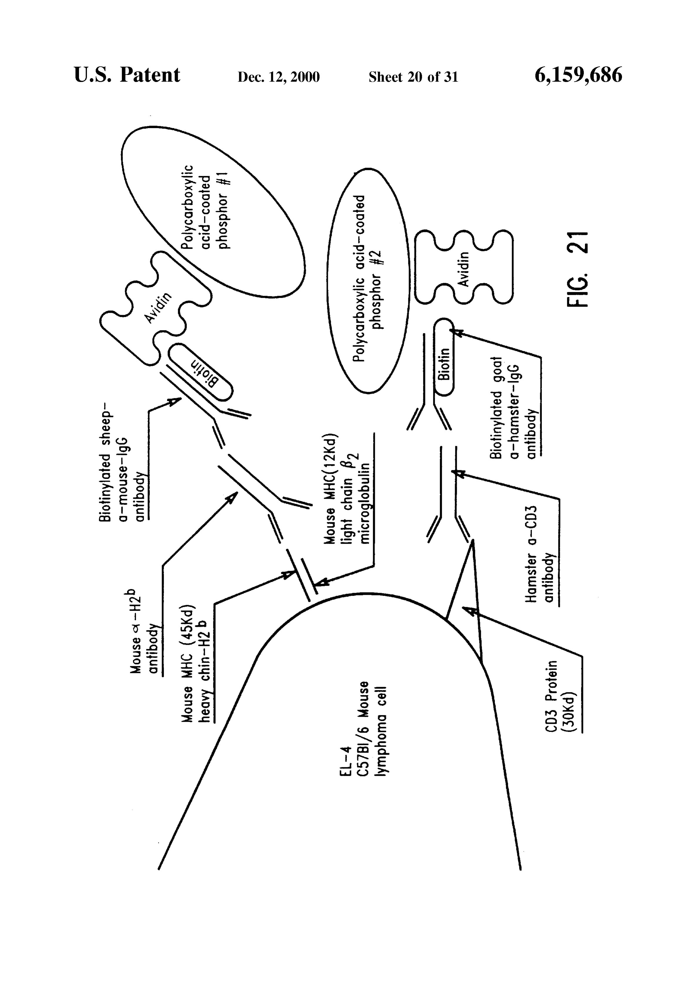 Page 22 of the original patent document