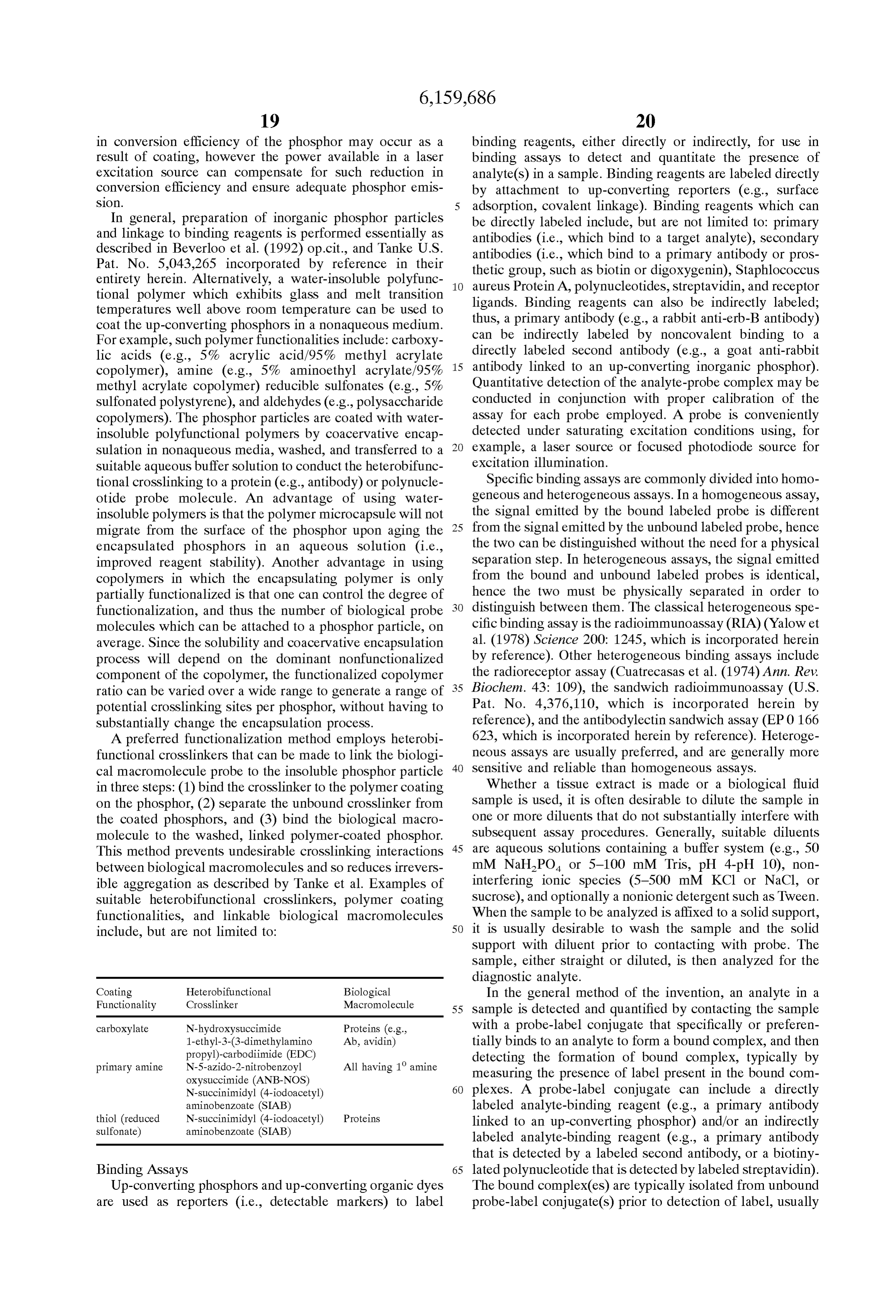 Page 43 of the original patent document