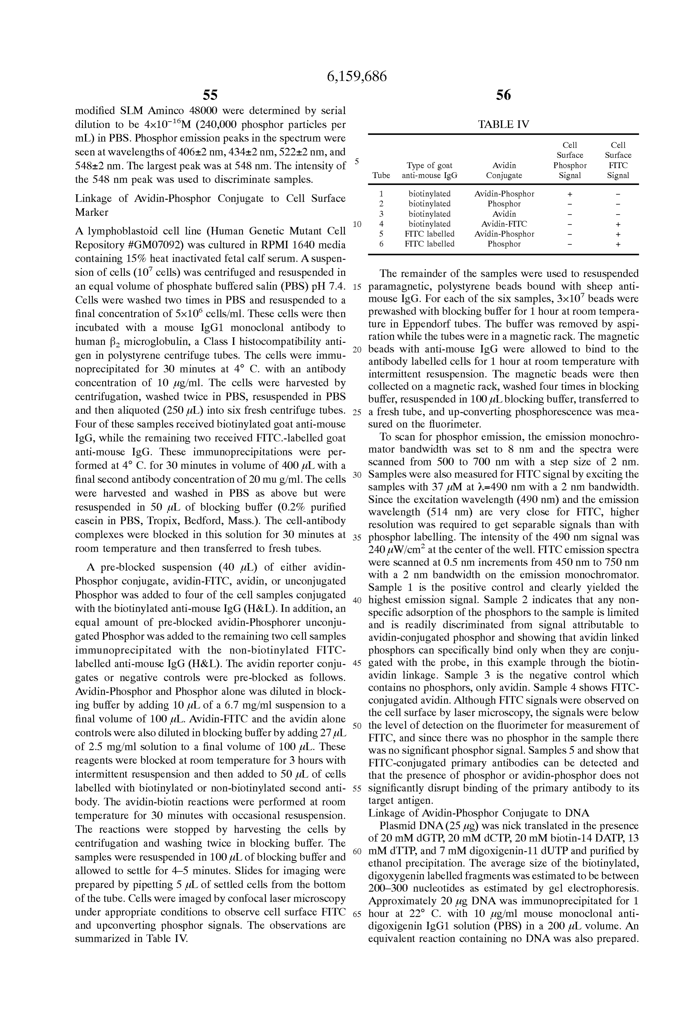 Page 61 of the original patent document