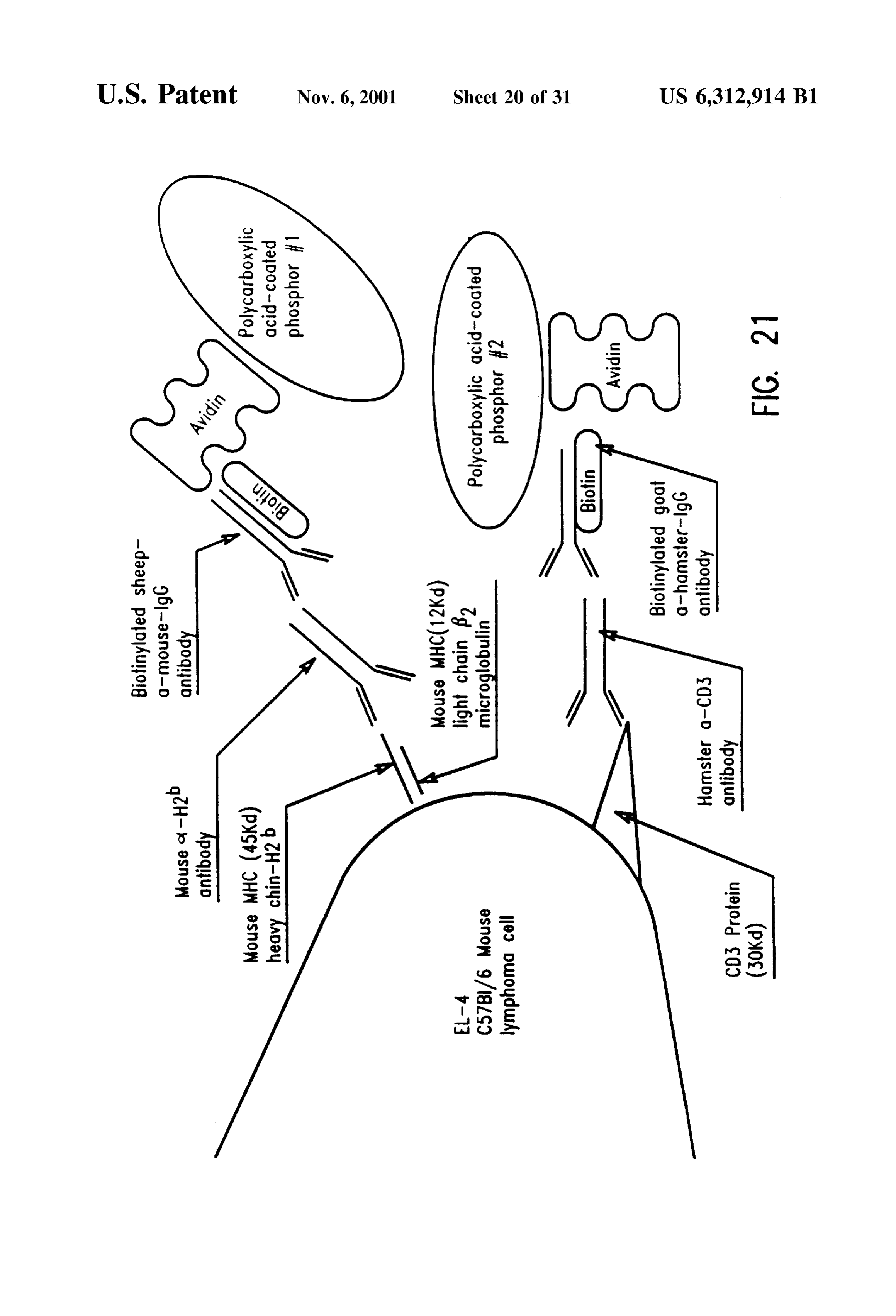 Page 23 of the original patent document