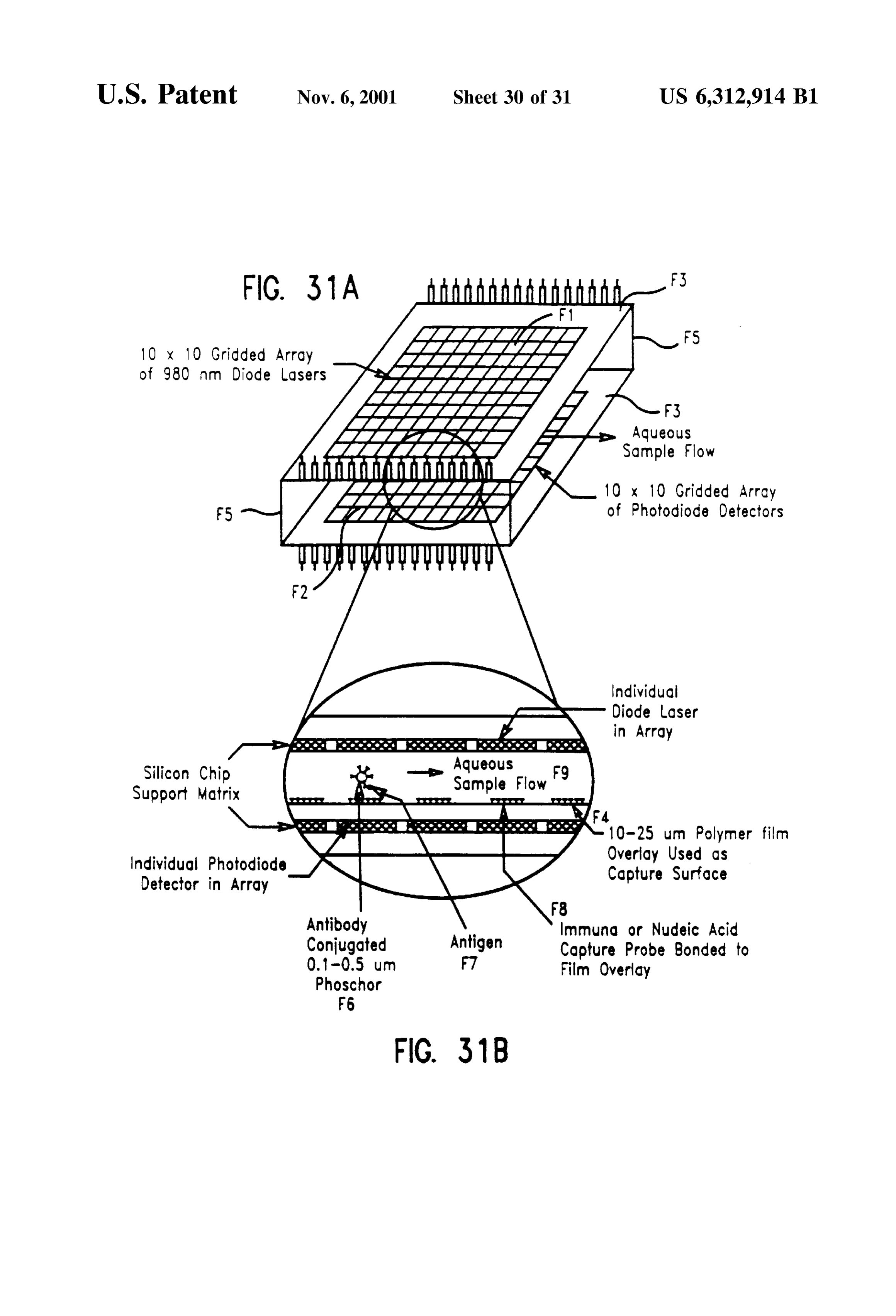 Page 33 of the original patent document