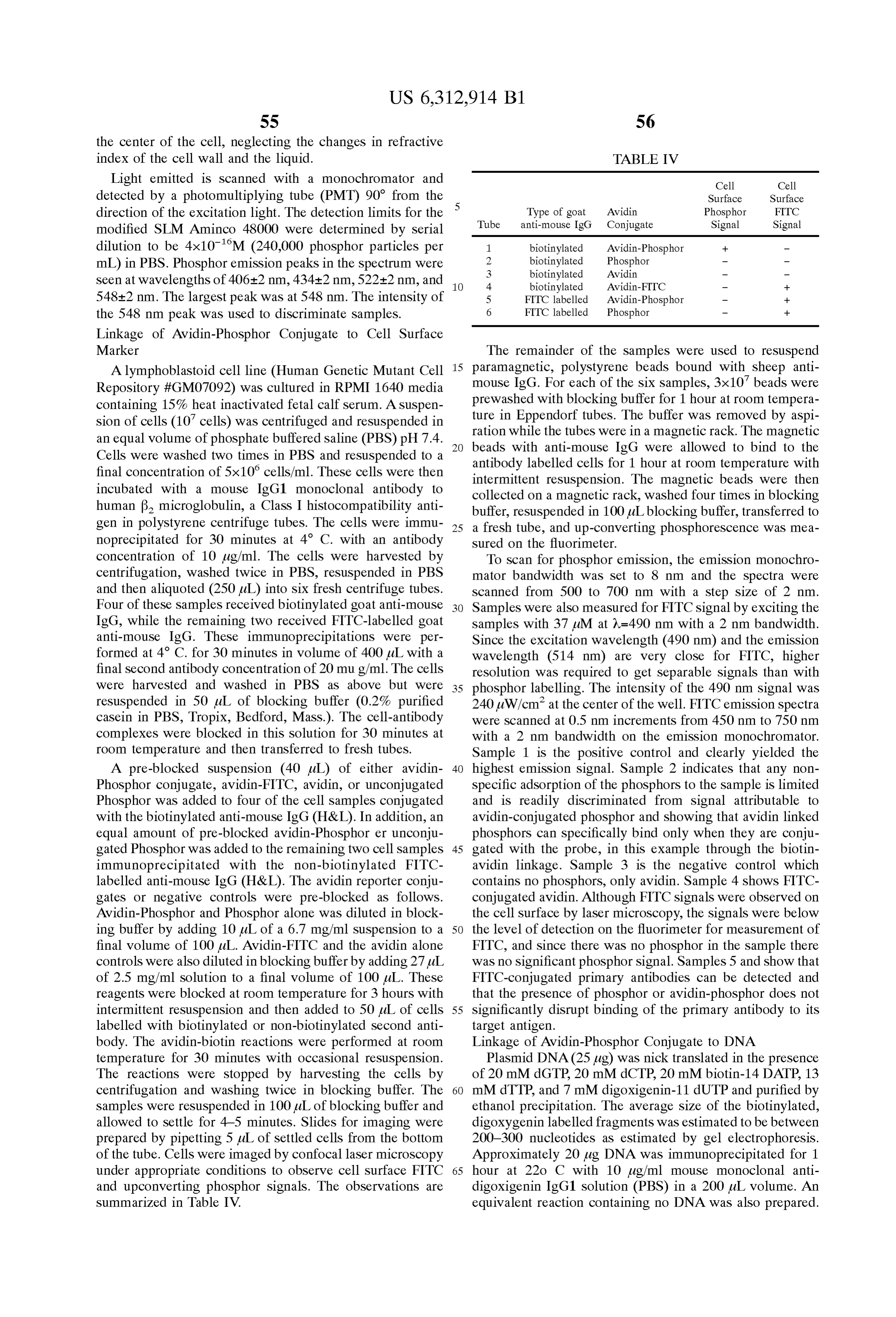 Page 62 of the original patent document