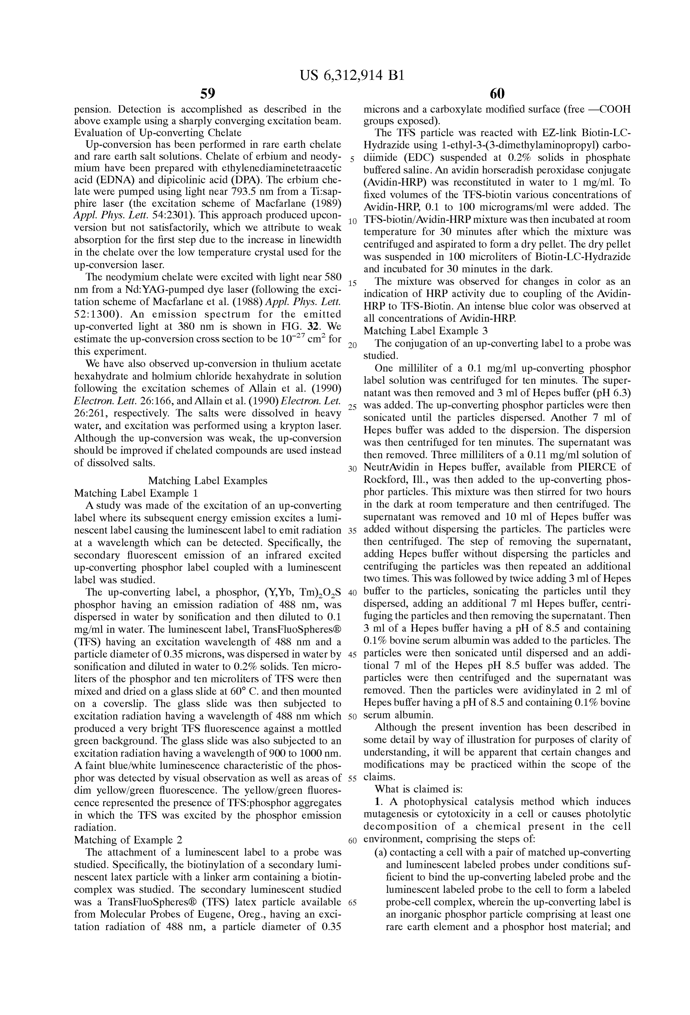 Page 64 of the original patent document