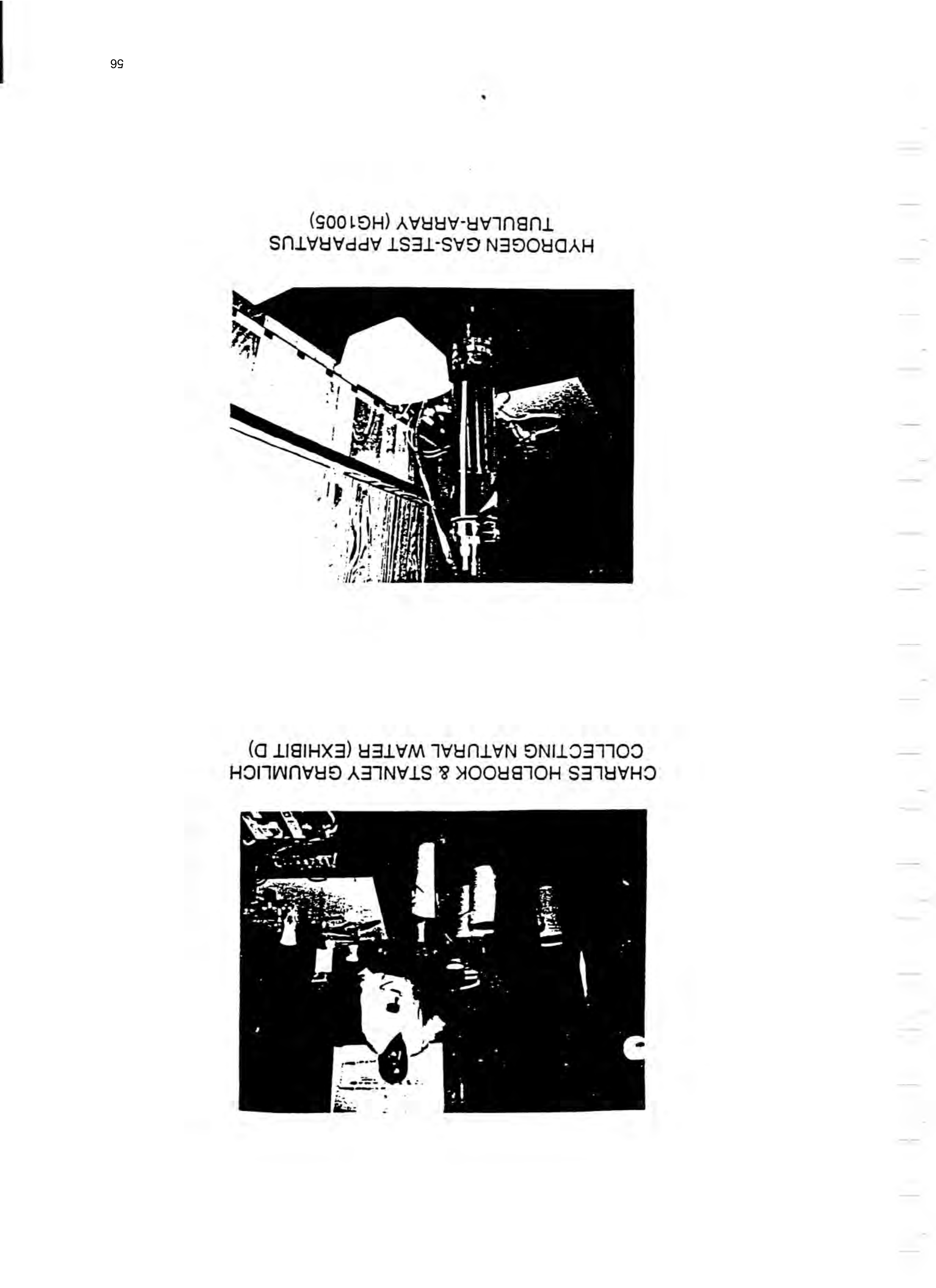 Page 56 of the original patent document